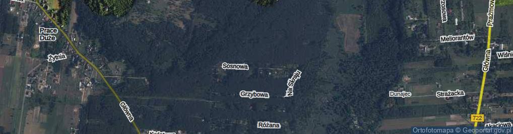 Zdjęcie satelitarne Sosnowa ul.